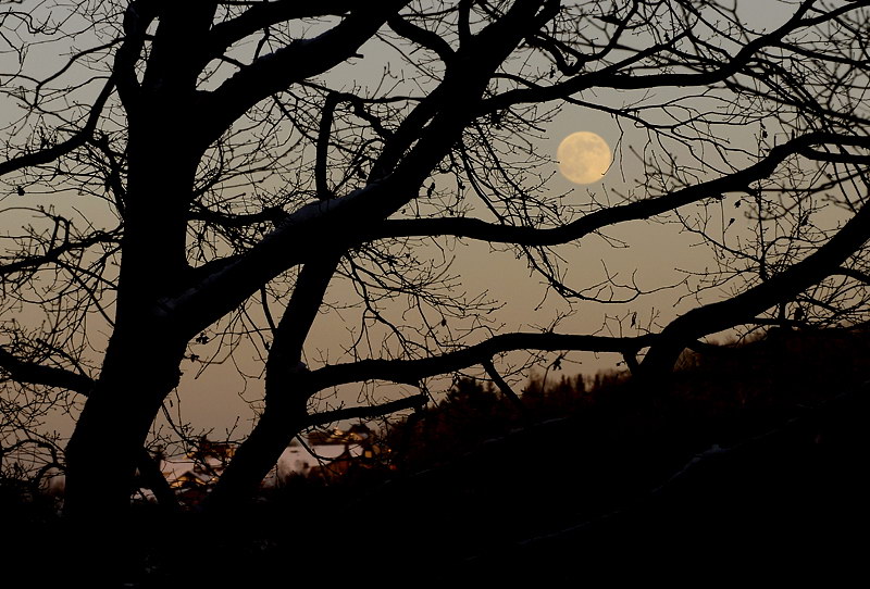 Licht und SchattenMond_DDC8787 Kopie.jpg